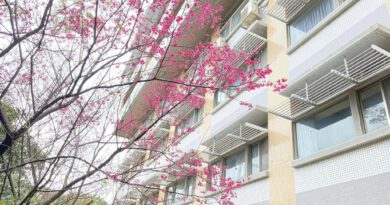 Back to School! Semester Begins on Feb. 24 with Course Add/Drop Period