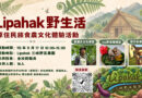 銘傳原資中心11/7辦食農文化體驗 邀教職員走進部落認識土地智慧