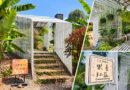 銘傳建築攜手樂善社區 打造《山田織夢》永續藝術新地標